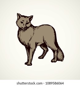 Furry gray canidae lagopus lupus stand on light sky backdrop. Freehand line black ink hand drawn picture sketchy in art retro doodle etching style pen on paper. Closeup side view with space for text
