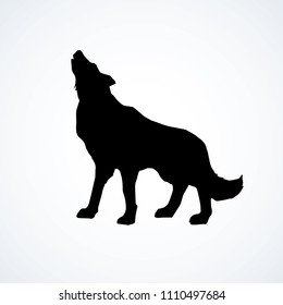 Furry gray canidae lagopus lupus stand on light sky backdrop. Dark ink hand drawn picture logotype in art retro contour print style. Closeup side view with space for text