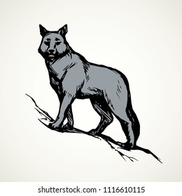 Furry gray canidae lagopus lupus stand on light sky backdrop. Freehand line black ink hand drawn picture sketchy in art retro doodle etching style pen on paper. Closeup side view with space for text