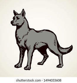 Furry gray canidae lagopus lupus stand on light sky backdrop. Freehand line black ink hand drawn picture sketchy in art retro doodle etching style pen on paper. Closeup side view with space for text