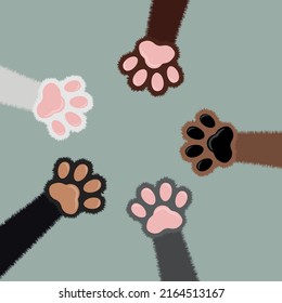 Furry kitten paws set.  Cat paws. Childish vector illustration. Cute playful cat clutches isolated. Furry paw pet animal. Kitten cartoon flat icon in doodle style. Different colours cats paws circle