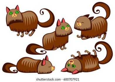 Furry Kitty cats