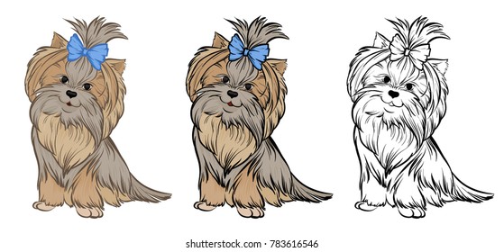 furry little terrier girl sitting with bow on head
