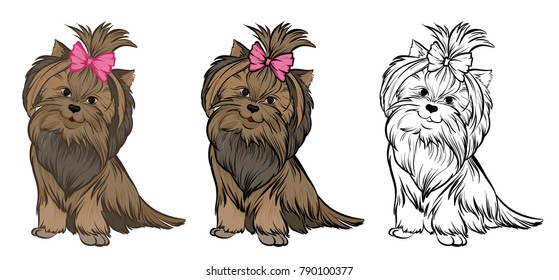 furry little terrier girl sitting with bow on head