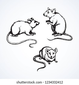 Furry Rattus on light backdrop. Freehand dark ink hand drawn logo emblem pictogram sketchy in retro scribble style pen on paper. View closeup with space for text