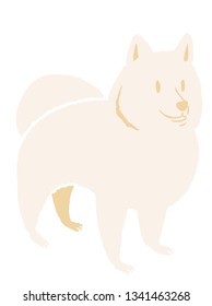 Furry Samoyed Dog
