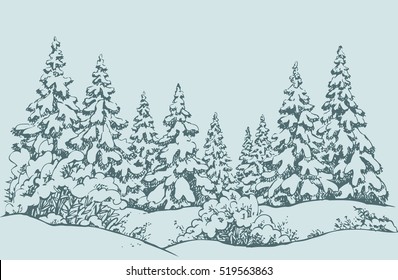 Furry snowcovered piceas in