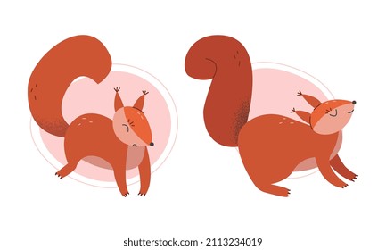 Furry Squirrel Animal with Bushy Tail and Red Coat Vector Set