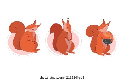 Furry Squirrel Animal with Bushy Tail and Red Coat Vector Set