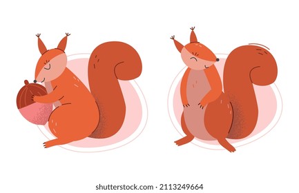 Furry Squirrel Animal with Bushy Tail and Red Coat Vector Set