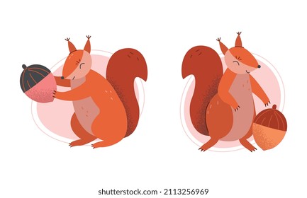 Furry Squirrel Animal with Bushy Tail and Red Coat Vector Set