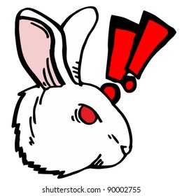 Fury rabbit