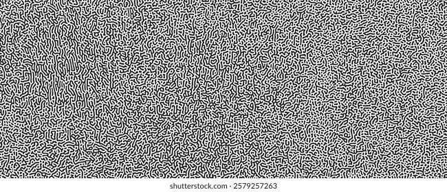 The Fusion of Chaos and Order in a Web of Lines That Extend Infinitely in All Directions
