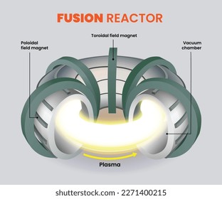 Fusion reactor diagram, magnetic confinement  fusion illustration