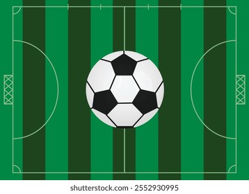 Campo de fútbol sala y pelota. Vector