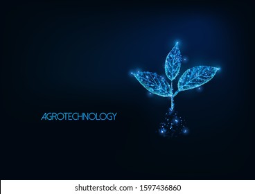Futuristic agrotechnology, agriculture concept with glowing low polygonal plant sprout with three leaves in soil isolated on dark blue background. Modern wire frame mesh design vector illustration. 