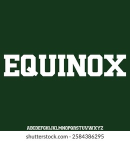 Futuristic alphabets display font vector with alternate