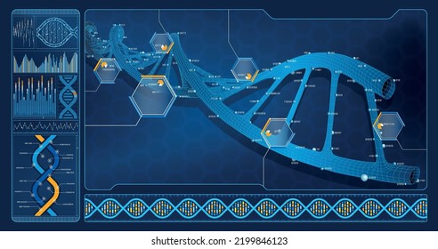 Futuristic computer monitor showing DNA segment analysis on multiple screens with DNA graphs in dark blue background. Vector image