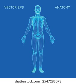 Una representación futurista del cuerpo humano, representada como una silueta de estructura de alambre poligonal sobre un fondo azul vívido. Esta ilustración abstracta de baja poli captura la esencia de la estética digital moderna