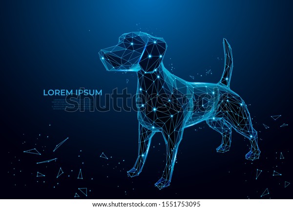 未来的な犬 青の背景にかわいいおかしい犬が線と三角形を形成する 青い夜空に点と星を持つポリゴンワイヤフレームの子犬 ポリゴンワイヤフレーム メッシュアート ポリゴン低 のベクター画像素材 ロイヤリティフリー