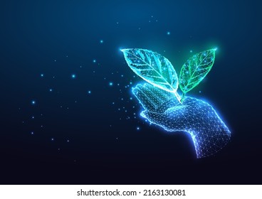 Futuristic eco, biotechnology concept with glowing low poly hand holding green leaves on dark blue