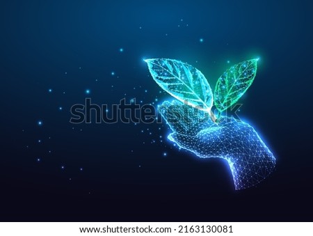 Futuristic eco, biotechnology concept with glowing low poly hand holding green leaves on dark blue