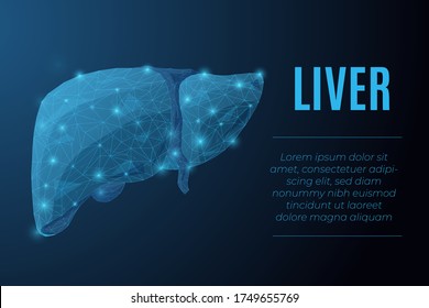 Futuristic glowing low polygonal anatomic model of human liver made of stars, lines, dots, triangles isolated on dark blue background. Medical and anatomy concept. Modern wireframe vector illustration - Powered by Shutterstock - Get 15% off with code: PIKWIZARD15