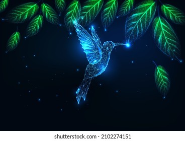 Futuristic glowing low polygonal flying hummingbird in tropical forest on dark blue