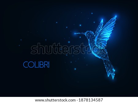 Futuristic glowing low polygonal flying colibri bird, hummingbird isolated on dark blue background. Modern wireframe mesh design vector illustration.