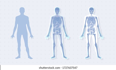 Futuristic hologram anatomy organ human body, innovation interface x-ray man.