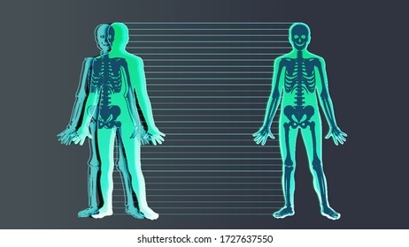 Futuristic hologram anatomy organ human body, innovation interface x-ray man.