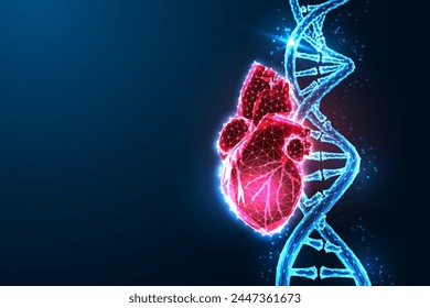 Futuristisches medizinisches Konzept: Anatomisches Herz mit DNA-Strang auf dunkelblauer Kulisse. Glühend niedriger polygonaler Stil. Gentechnik. Moderne abstrakte Verbindungsdesign-Vektorillustration