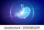 Futuristic Medical Hologram Neon Glow Translucent Human Stomach Digestive System Backdrop Background Illustration