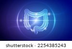 Futuristic Medical Hologram Neon Glow Translucent Human Large Intestine Gastrointestinal System Backdrop Background Illustration