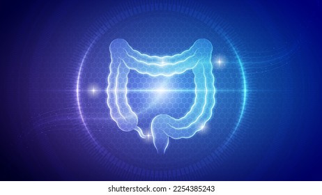 Futuristic Medical Hologram Neon Glow Translucent Human Large Intestine Gastrointestinal System Backdrop Background Illustration