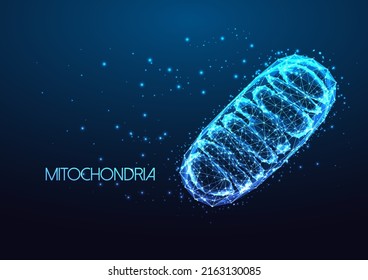 Futuristic mitochondria eukaryotic organelle in glowing low polygonal style isolated on dark blue