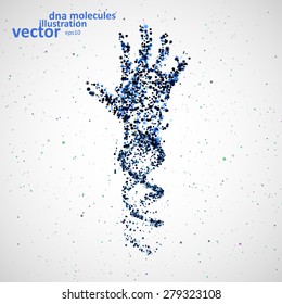 Futuristic model of hand dna, abstract molecule, cell illustration eps10