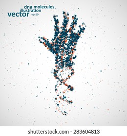 Futuristic model of hand dna, abstract molecule, cell illustration eps10