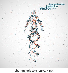 Futuristic Model Of Man Dna, Abstract Molecule, Cell Illustration Eps10