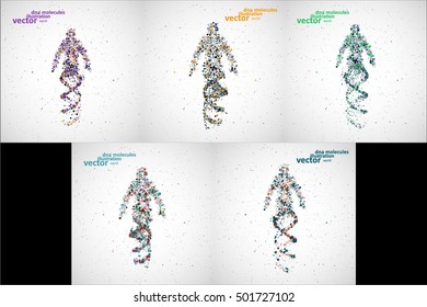 Futuristic Model Of Man Dna, Abstract Molecule, Cell Illustration