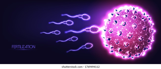 Futuristic natural fertilization concept with glowing low polygonal human sperm and egg cells on dark blue to purple background. Reproductive medicine banner. Modern design vector illustration.