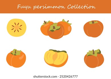 fuyu persimmon coleção em diferentes poses. Ilustração vetorial.