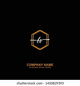 FV Initial handwriting logo template vector