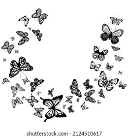 fwhite background with flying butterflies silhouette, isolated 