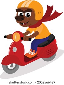 Fynny Bear riding a scooter