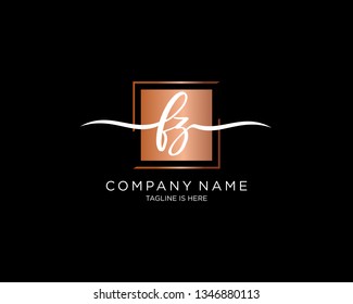 FZ handwriting initial  logo vector