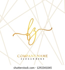 FZ Initial Handwriting logo template vector