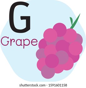 G for Grape alphabet, Cute Simple flat cartoon style vector illustration