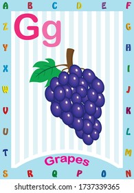 G Grapes Childrens Abcd Text Book Stock Vector (Royalty Free ...