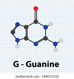 G - Guanine Nitrogenous base molecular structure. DNA nucleotide base purine biomolecule ball and stick model.